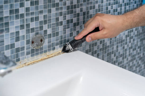Best Black Mold Remediation in Hillsboro, MO