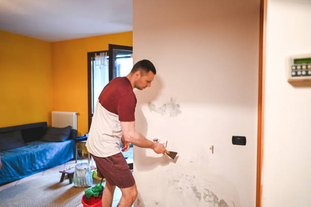 Best Mold Testing and Inspection Services in Hillsboro, MO